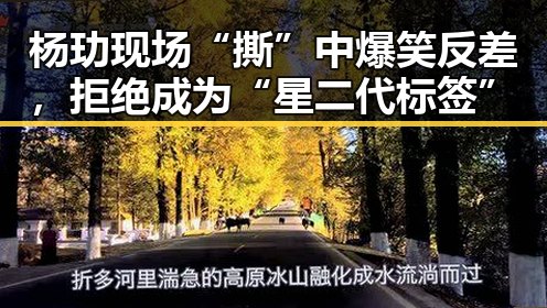 杨玏现场“撕”中爆笑反差,拒绝成为“星二代标签”