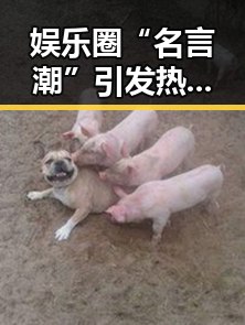 娱乐圈“名言潮”引发热议:明星、网红、段子手的背后隐藏何种秘密?
